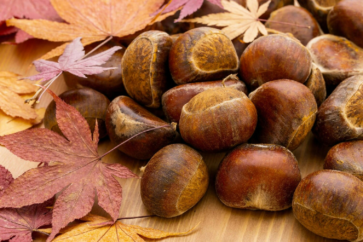 Scopri la porzione ideale di castagne per mantenere la linea e non rinunciare al gusto