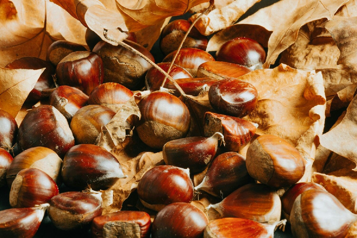 Scopri la porzione ideale di castagne per mantenere la linea e non rinunciare al gusto
